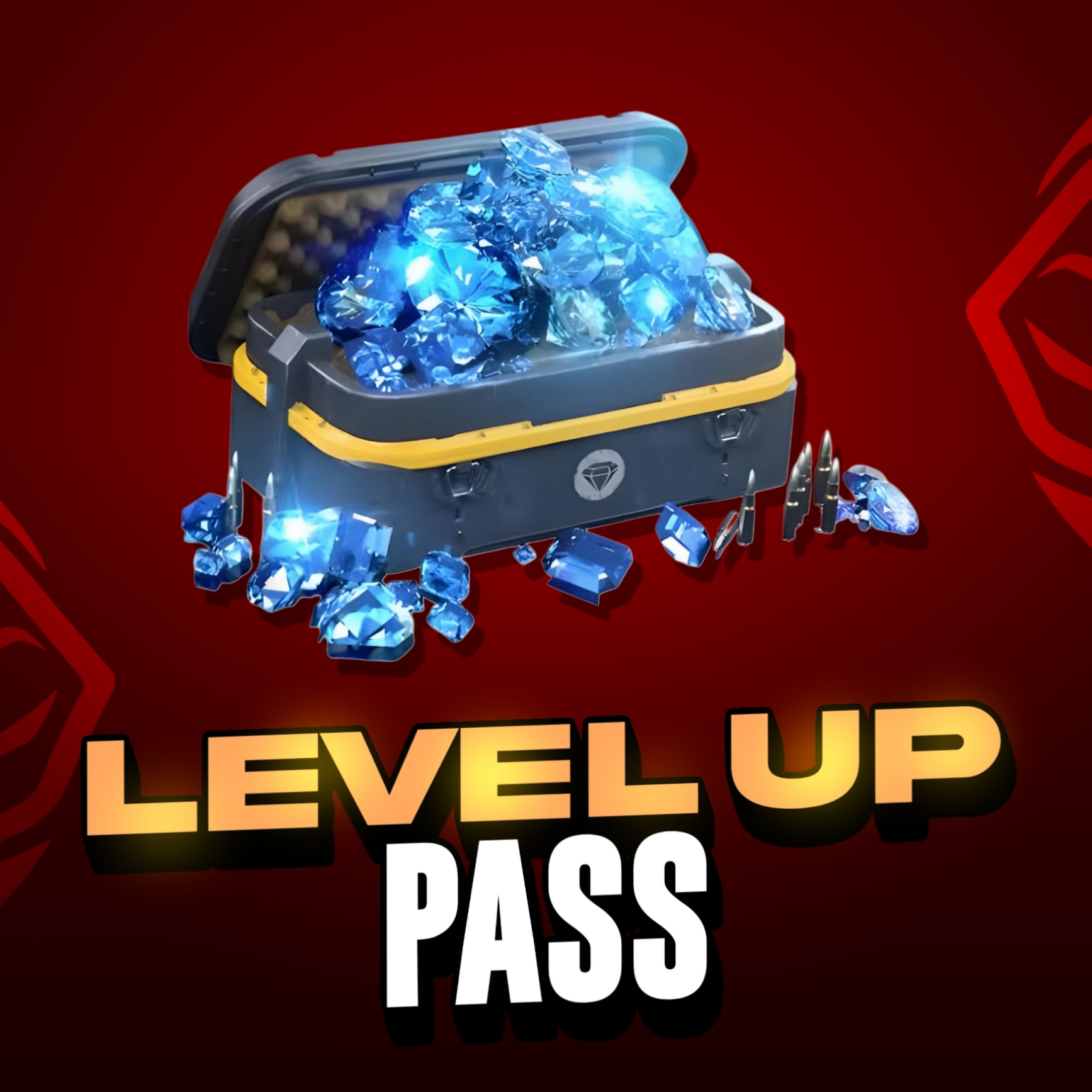 LEVEL UP PASS 